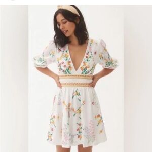 Anthropologie Deep-V Floral Mini Dress